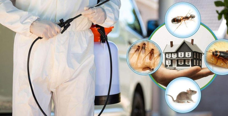 Orhaneli Böcek İlaçlama