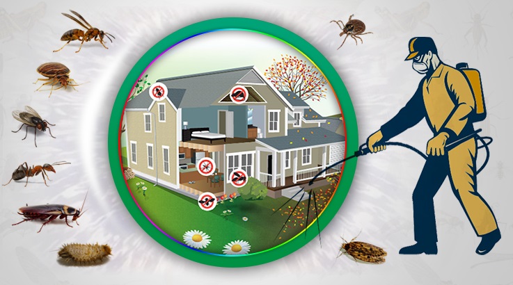 Orhaneli Böcek İlaçlama