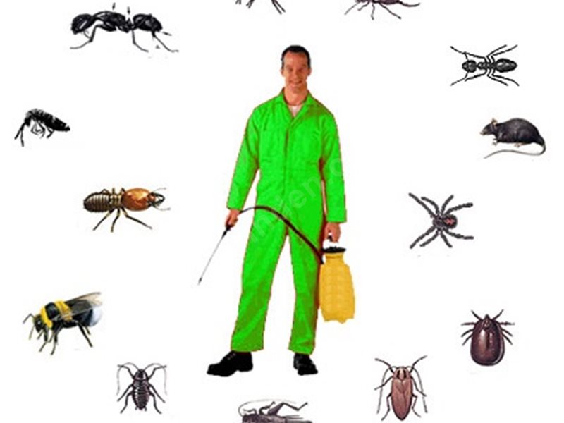 Orhaneli Böcek İlaçlama